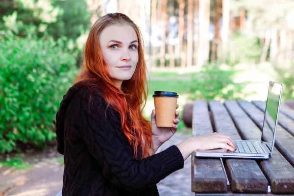 Freelancer Naturaleza Mujer Está Trabajando Ordenador Portátil Bosque — Foto de Stock