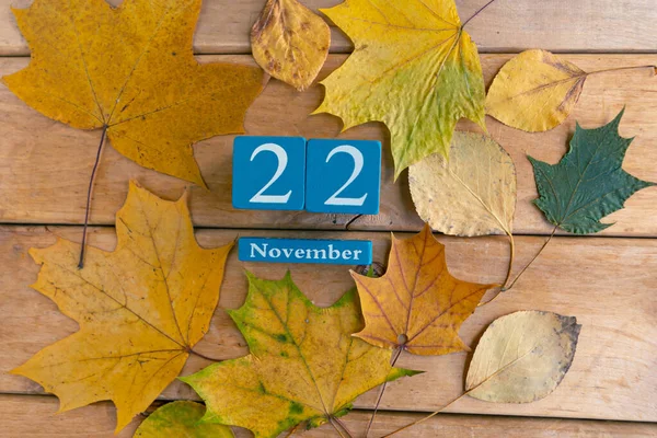 November Blauwe Kubus Kalender Met Maand Datum Houten Ondergrond — Stockfoto