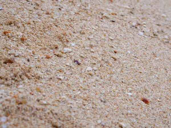 Textura Fundo Areia Close Grãos Areia Grossa — Fotografia de Stock