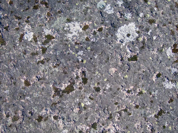 Texture of old natural mossy stone. Beautiful stone surface, dirty rock covered with lichen and moss for natural background