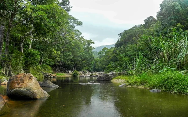 Rio Floresta Tropical — Fotografia de Stock