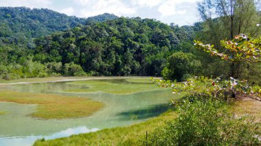 Asya'daki dağların arka planında bataklık gölü. Manzara
