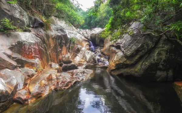 Waterfall River Rainforest — Stock Photo, Image