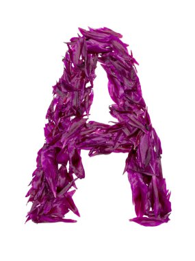 Abc, kırmızı, koyu pembe ve yeşil çiçek yaprakları alfabesi. şakayık yaprakları alfabesi. harfler ve semboller.