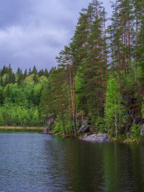 Orman gölü kıyı manzara . Yaz orman göl kıyı panoraması. Orman gölü kıyı görünümü