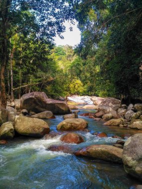 Hareketli Bulanık Şelaleler Mavi Tepe Dağları 'ndaki huzurlu doğa manzarası yemyeşil ağaçlar, kayalar ve akan suyla