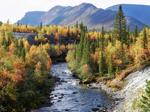 River Mountain Valley Bright Forest Background Mountains Natural Autumn Landscape — Stock Photo, Image