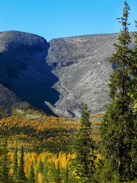 Flod Bergsdal Med Ljus Skog Bakgrund Berg Naturligt Höstlandskap Kolsyhalvön — Stockfoto