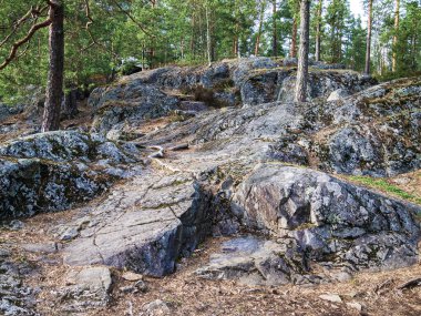 Baltık kalkanının granit çıkıntıları. granit çıkıntıları.