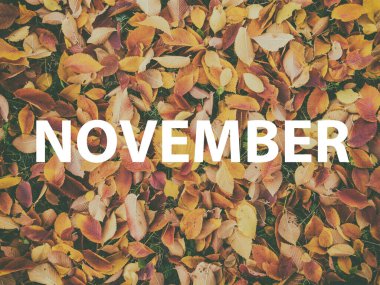 Turuncu akçaağaç yapraklarının arka planında Kasım ayının tebrik yazısı var.