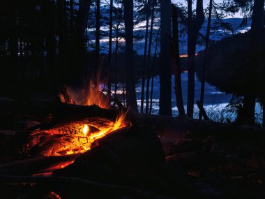 Bonfire with sparks at night by the lake in the forest. Cook marshmallows. clipart