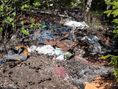 Doğa sorunlarında yeşil çimlerin üzerine yığılmış bir garaj yığını. Doğa koruması.