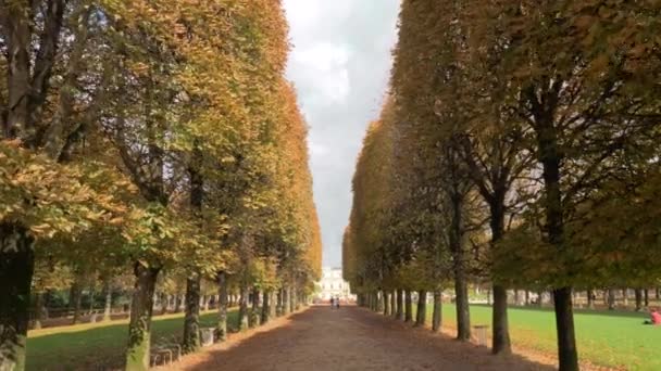 Herbstliche Szene einer baumgesäumten Promenade in luxemburgischen Gärten. Paris, Frankreich — Stockvideo
