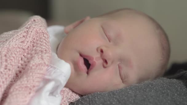 Preciosa niña recién nacida durmiendo en el pecho de las madres — Vídeo de stock