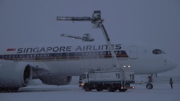 ドモジェドヴォ国際空港で雪に覆われた冬の夜の飛行機の着氷を仕上げトラックのモスクワ ロシア連邦 2017 スローモーション撮影 シンガポール航空は 都市に飛ぶ — ストック動画