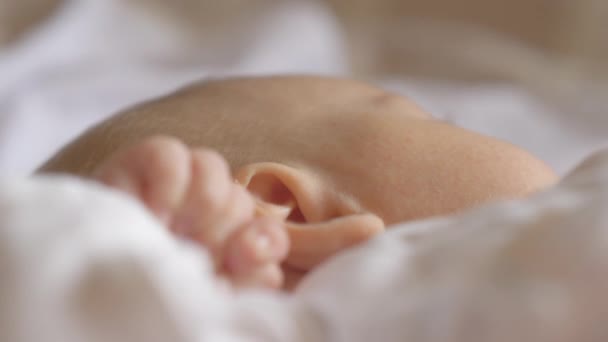 Малышка спит и двигает руками — стоковое видео