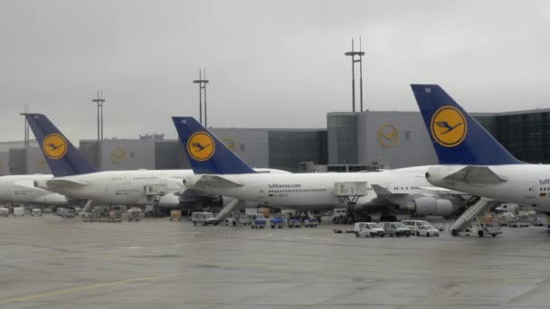 Aviões da Lufthansa no Aeroporto de Frankfurt, Alemanha — Vídeo de Stock