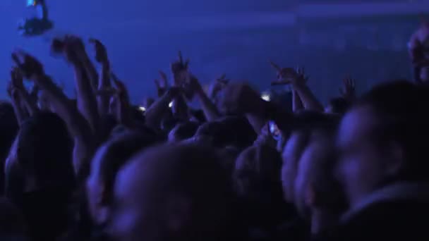 Dansande publik på konserten — Stockvideo