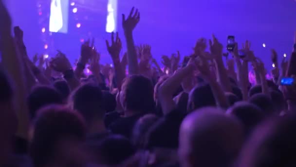Щасливі вентилятори танцювати з руки вгору на рок-концерт — стокове відео