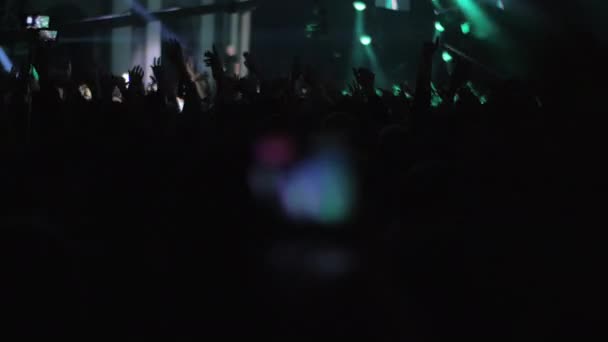 Dancing music fans at the concert of favourite singer — Stock Video
