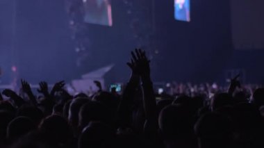 Konserde heyecanlı izleyici