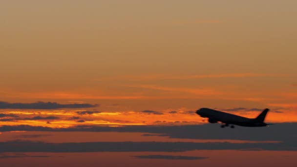 Aereo silhouette nera che vola contro il cielo dorato della sera — Video Stock