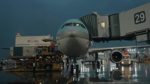 Letadlo, nastupování a nakládání nákladních kontejnerů — Stock video