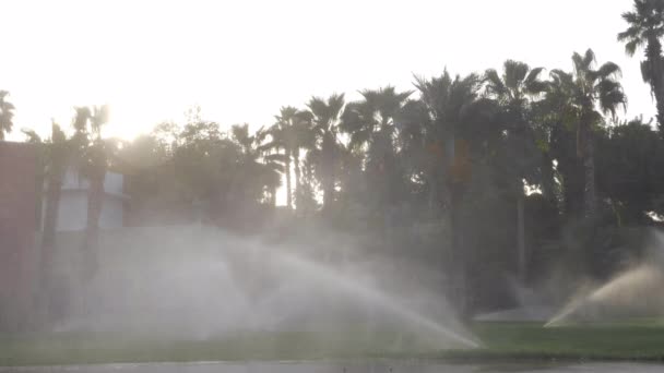 Irrigation system on a hotel lawn — Stock Video