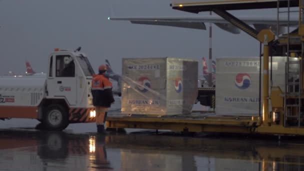 Chargement de conteneurs cargo Korean Air sur transporteur à Sheremetyevo, Moscou — Video