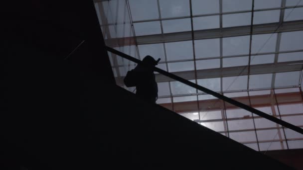 A silhouette of a man moving down on an escalator — Stock Video