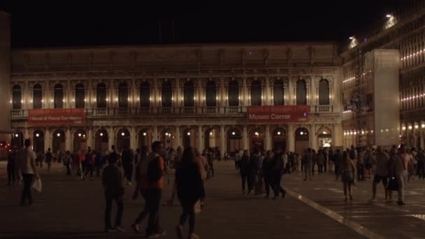 Nattsyn over Piazza San Marco med fotturer. Venezia, Italia – stockvideo
