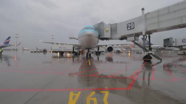 シェレメーチエヴォ国際空港からのフライトのために準備されている大韓航空の飛行機 — ストック動画