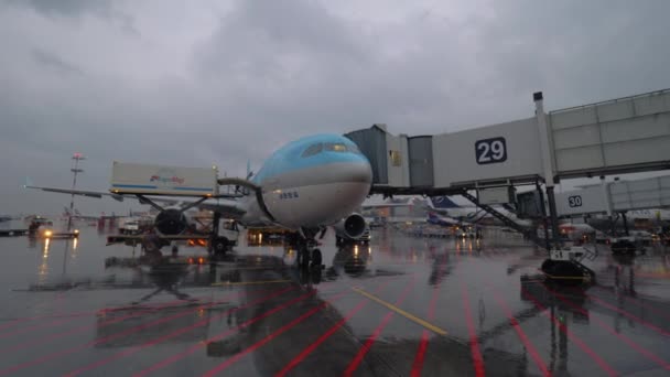 搭乗し、モスクワのシェレメーチエヴォ国際空港で大韓航空航空機に貨物をロード — ストック動画