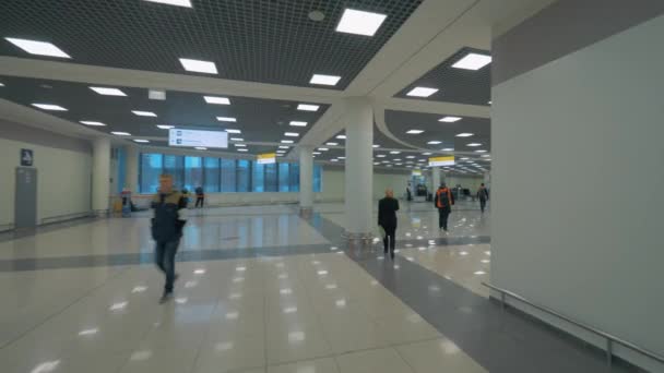 Nel Terminal E dell'Aeroporto Sheremetyevo, Mosca — Video Stock