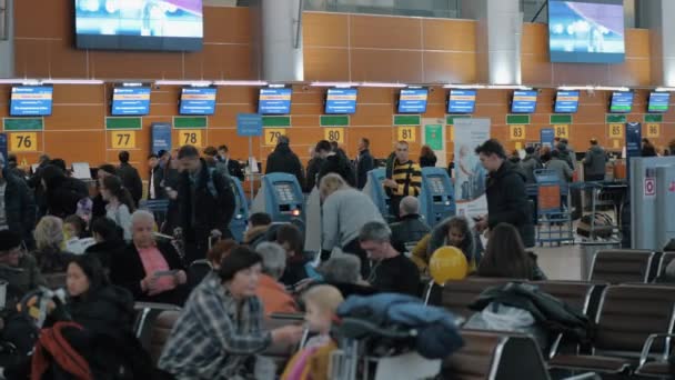 Mostradores de registro y salón con personas en la Terminal D del Aeropuerto de Sheremetyevo . — Vídeos de Stock