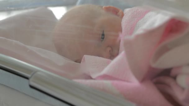 Bebé recién nacido que se queda dormido — Vídeo de stock
