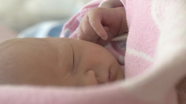 Новорожденная девочка спит завернутая в одеяло — стоковое видео