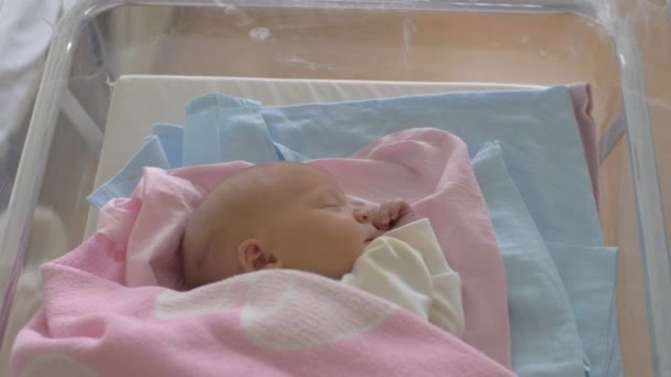 Newborn baby girl in crib being wheeled down a corridor — Stock Video