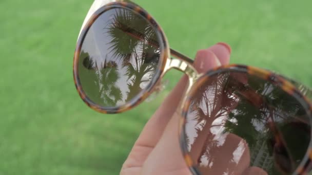 A closeup of female sunglasses reflecting palm trees — Stock Video