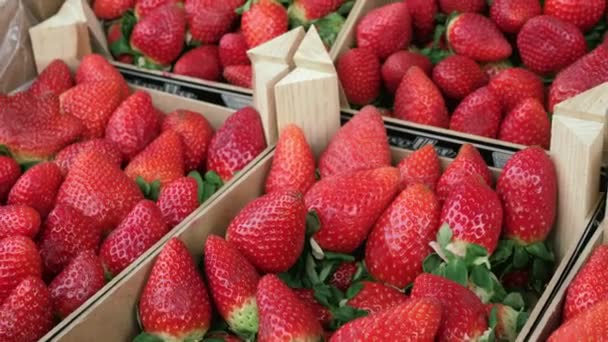 Cajas con fresas en el mercado — Vídeos de Stock