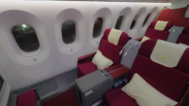 Business class - jet aeroplano vista interna — Video Stock