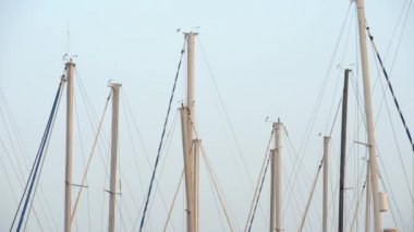 Yat gemi direkleri karşı mavi gökyüzü temizleyin