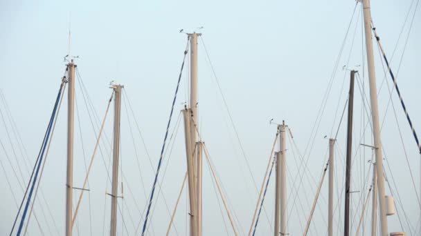 Yat gemi direkleri karşı mavi gökyüzü temizleyin — Stok video