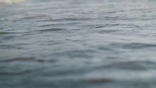 Onde schiumose rotolano sulla riva del mare — Video Stock