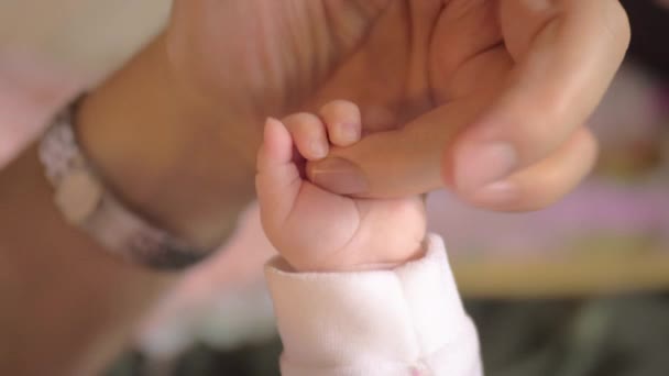 Madre y bebé amor — Vídeo de stock