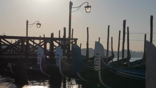 Disparo Cámara Lenta Varias Góndolas Amarradas Balanceándose Sobre Agua Muelle — Vídeos de Stock