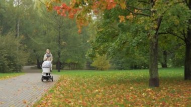 Bir sonbahar park bebek arabası ile yürüyen bir kadın