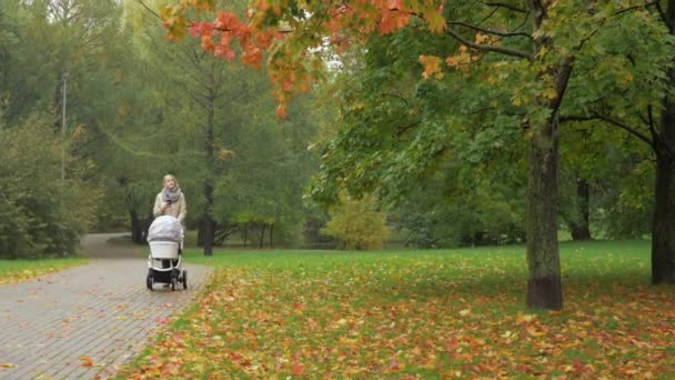 Uma mulher andando com uma carruagem de bebê em um parque de outono — Vídeo de Stock