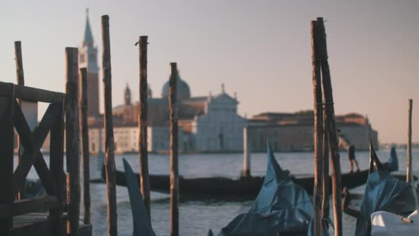 Gondole ormeggiate in mucchi di legno. Veduta con Chiesa di San Giorgio Maggiore, Venezia — Video Stock