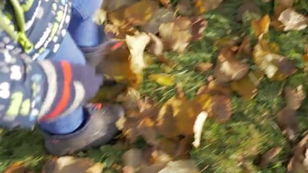 Kuru yapraklar sonbaharda yürüyen çocuk — Stok video
